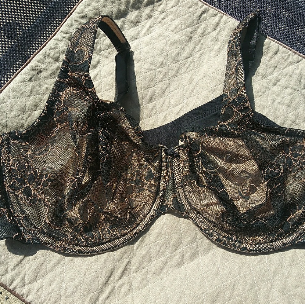 Lane Bryant Bra 44DDD